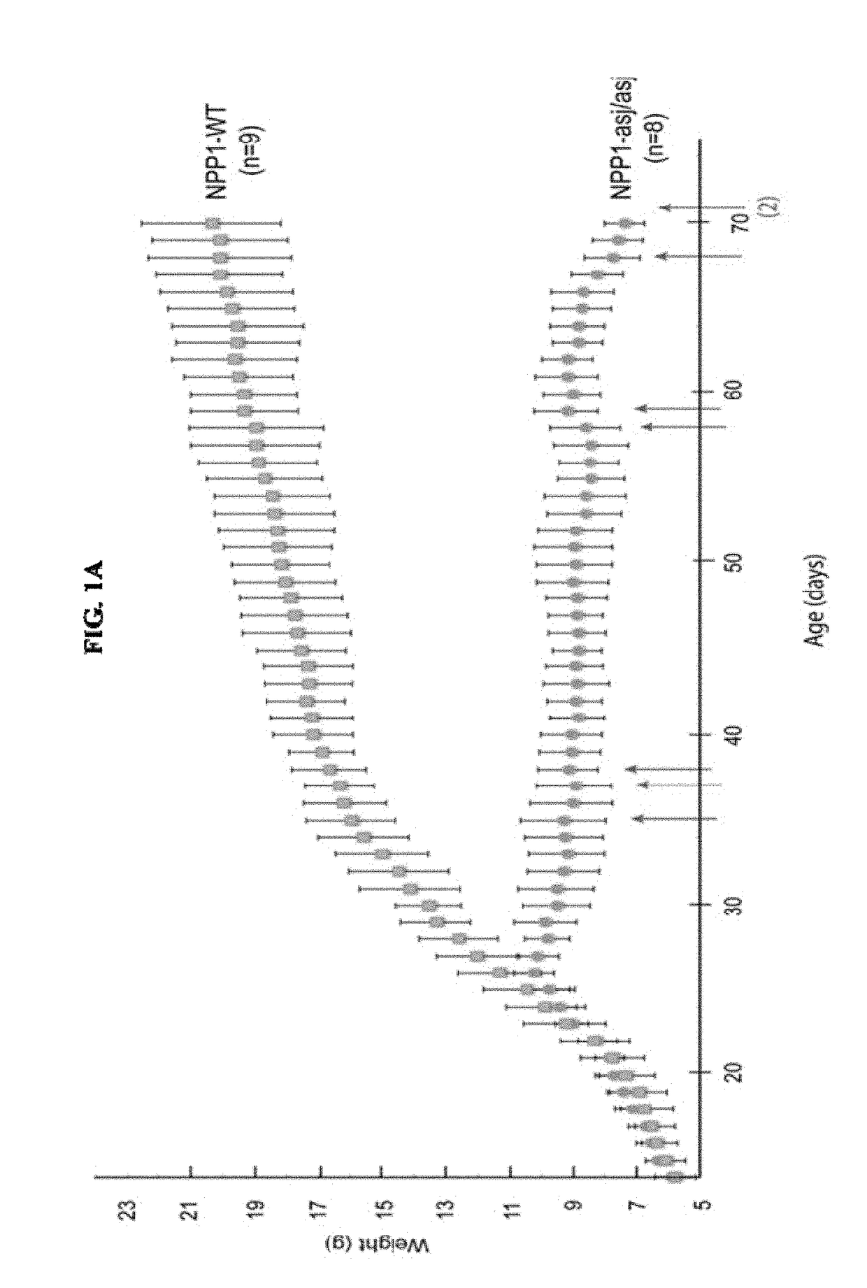 Compositions for Treating Pathological Calcification Conditions, and Methods Using Same