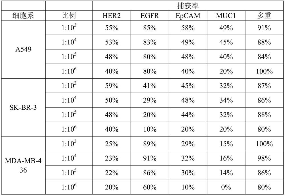 A kind of her2, egfr, epcam, muc1 multiple antibody immunomagnetic beads and preparation method thereof