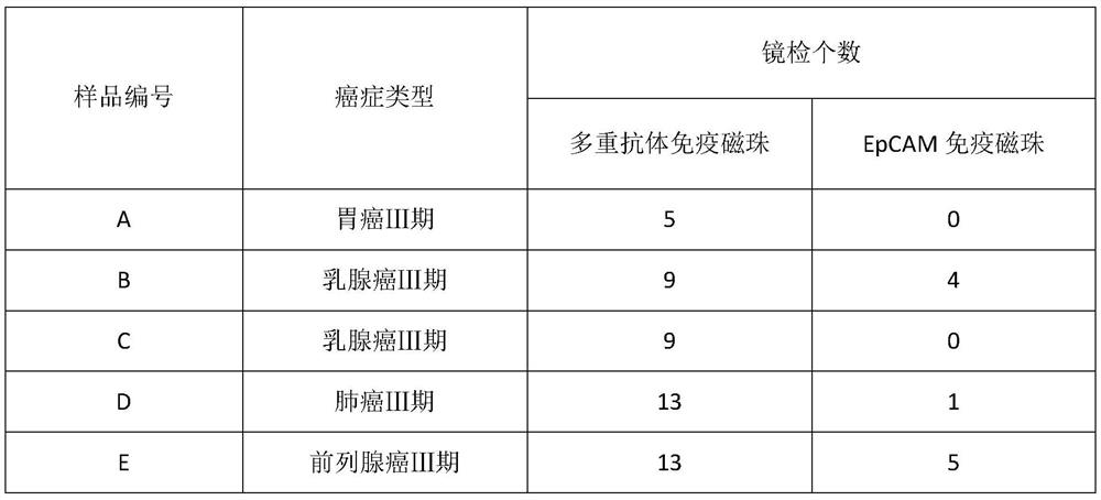 A kind of her2, egfr, epcam, muc1 multiple antibody immunomagnetic beads and preparation method thereof