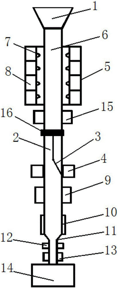 Sweet potato processing apparatus