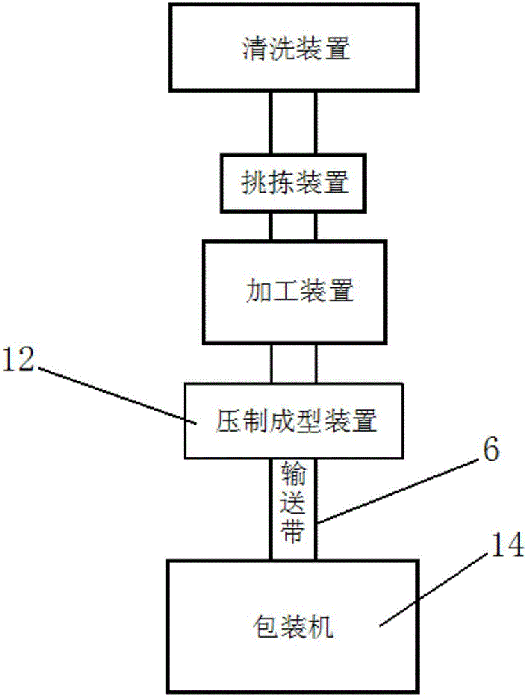 Sweet potato processing apparatus