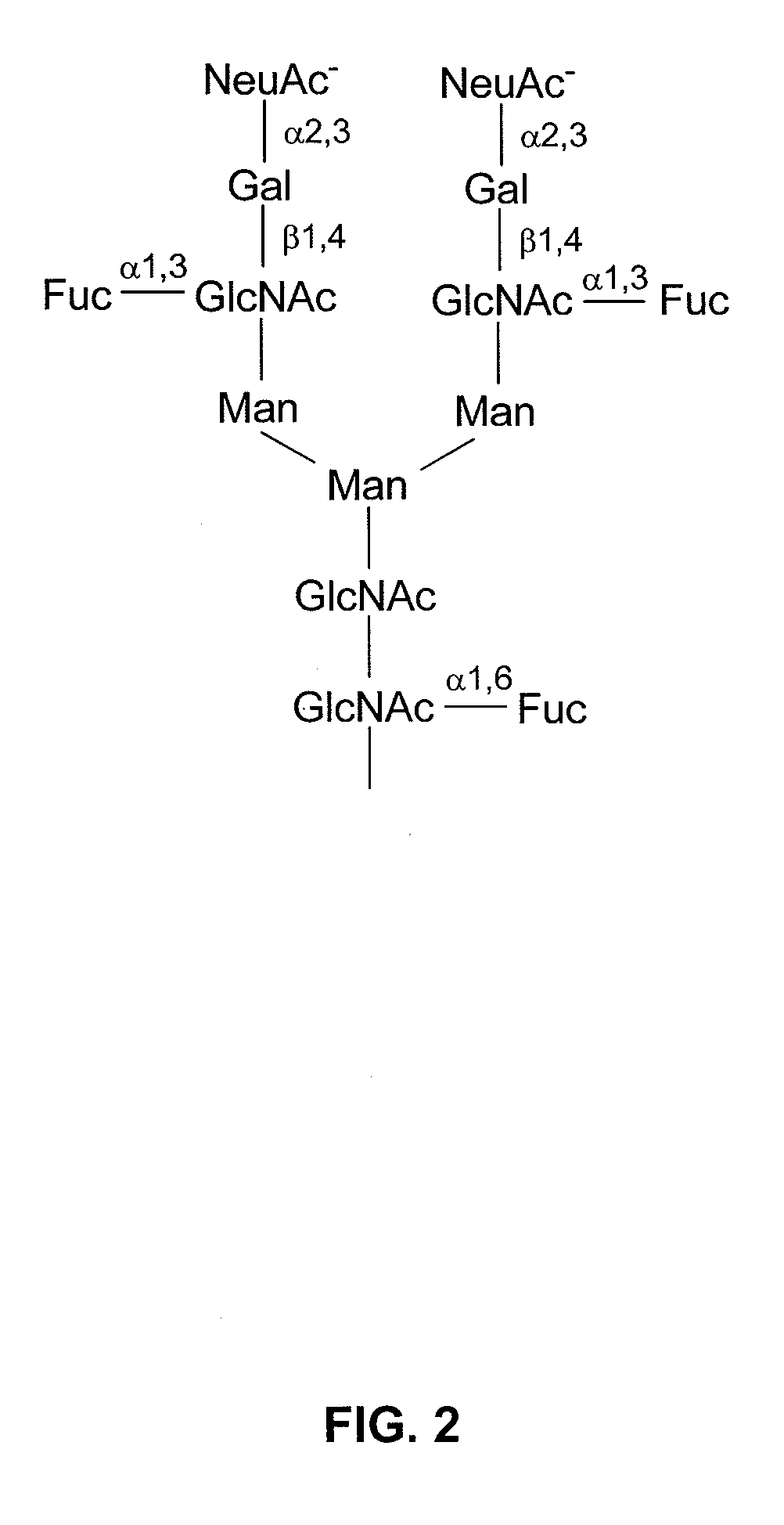 In vitro modification of glycosylation patterns of recombinant glycopeptides