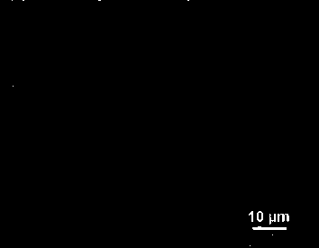 Monocrystalline silicon wafer texturing additive and its application