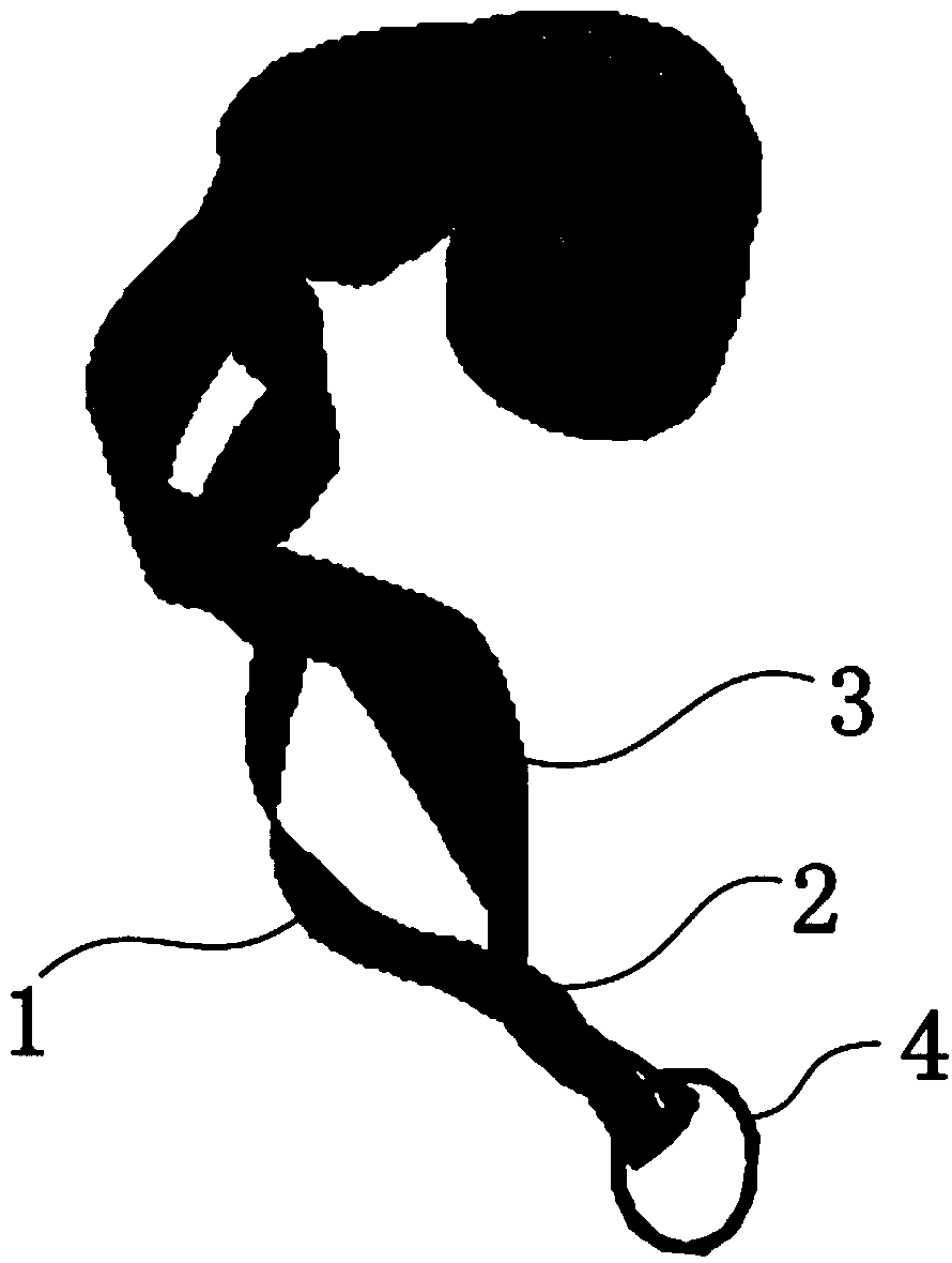 Multifunctional decoration rope and manufacturing method thereof