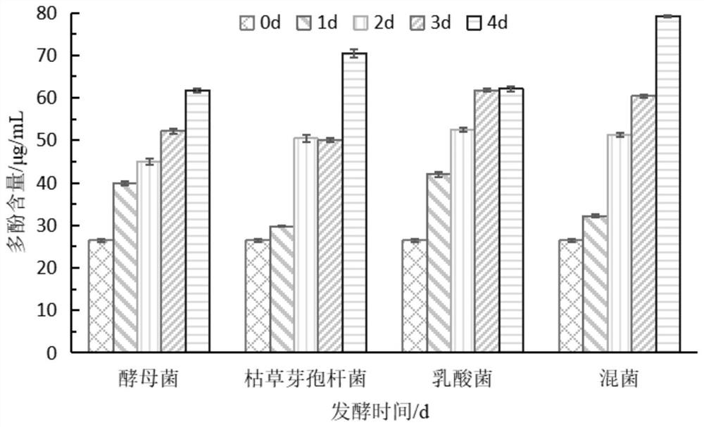 Dendrobium officinale fermentation extracting solution, skin care product and preparation method of skin care product