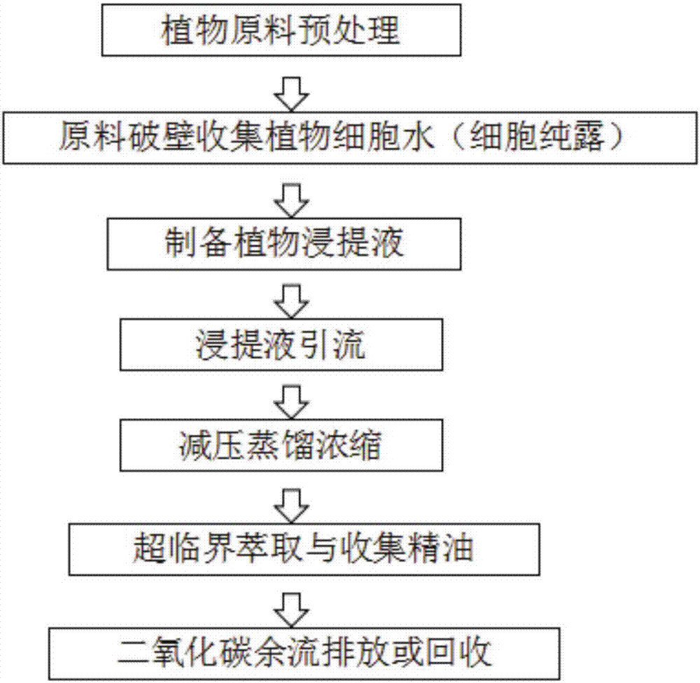 Production device for extraction of aromatic plant components and production method thereof