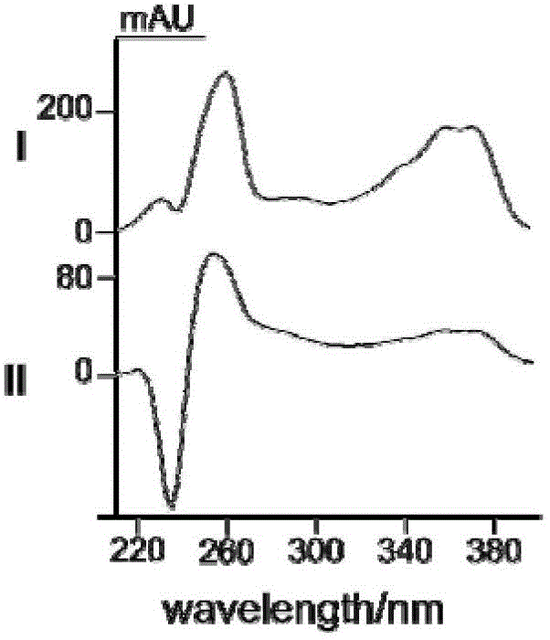 Camptotheca endophytic bacterium LY214 for producing camptothecin and application thereof