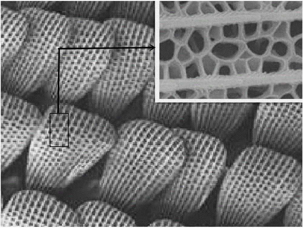 Gear with bionic tooth surfaces based on butterfly scale surface morphology