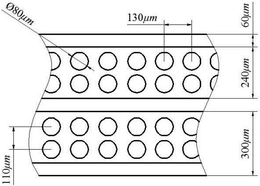 Gear with bionic tooth surfaces based on butterfly scale surface morphology