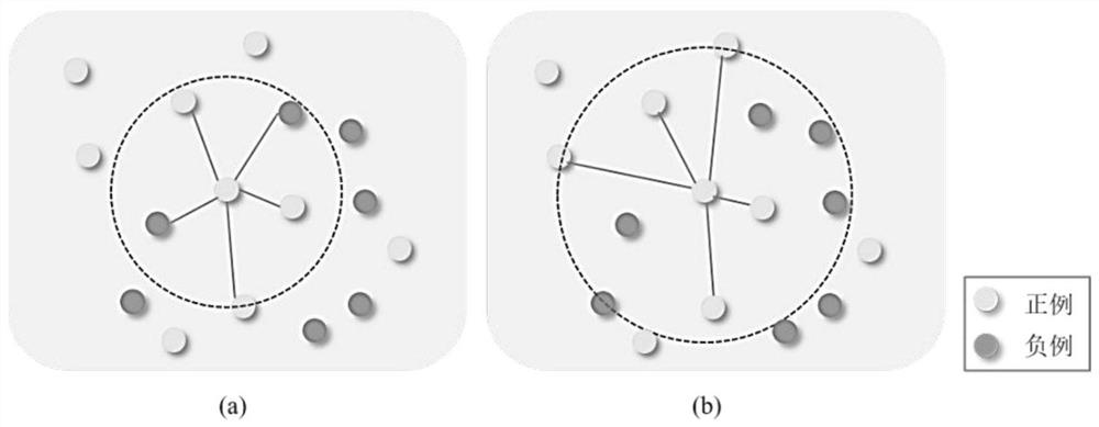 Parkinson's disease voice data classification system based on sample and feature double transformation