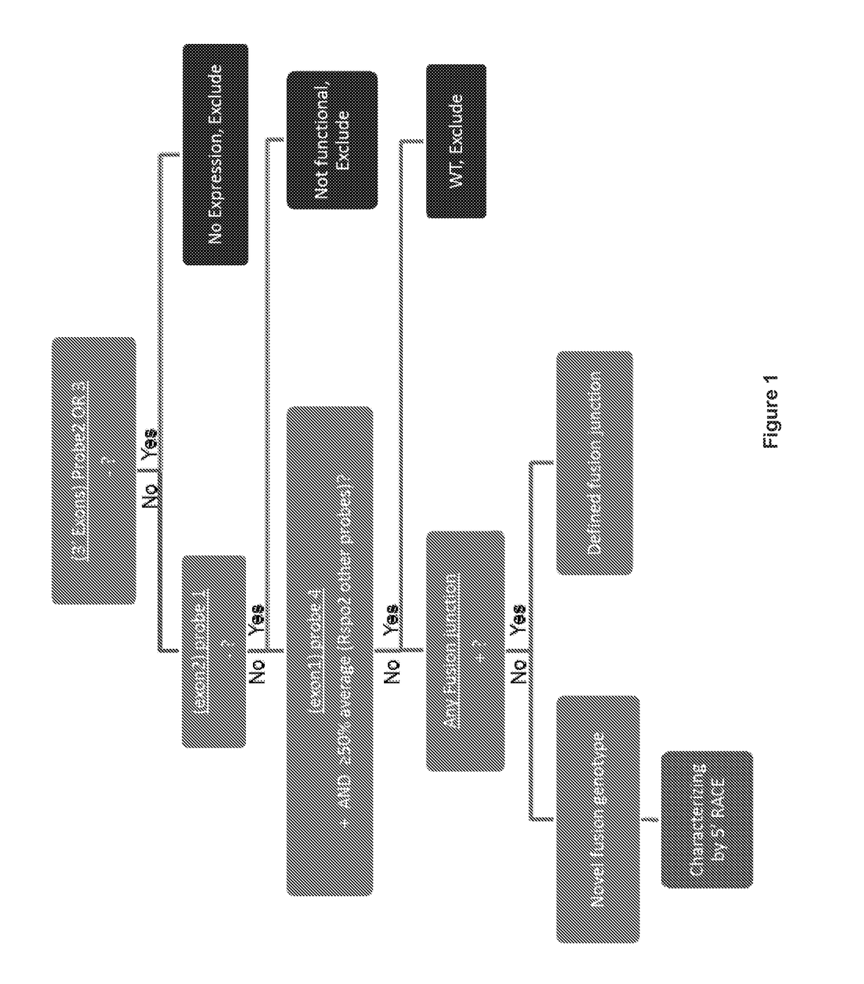 Tumor biomarkers and use thereof