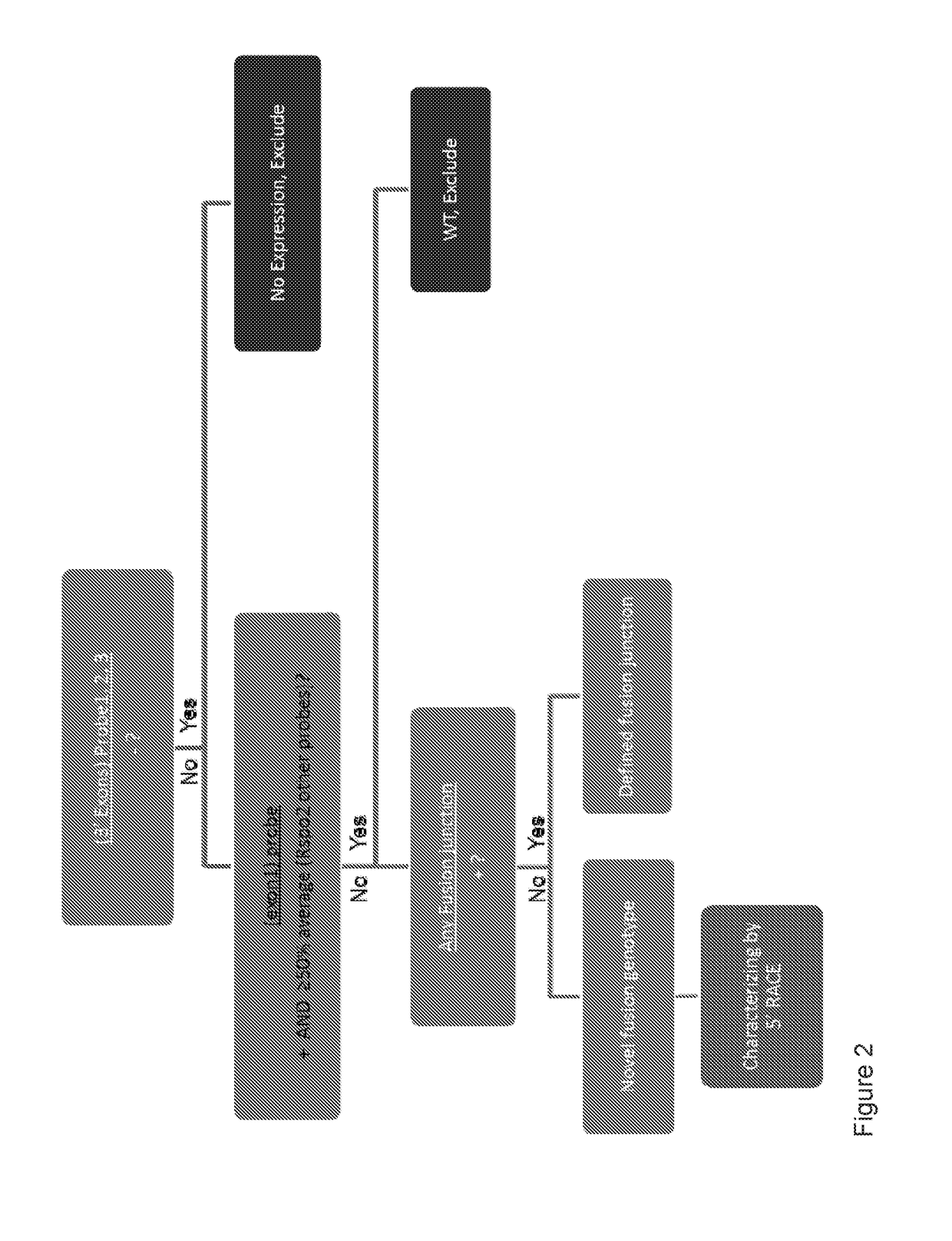 Tumor biomarkers and use thereof