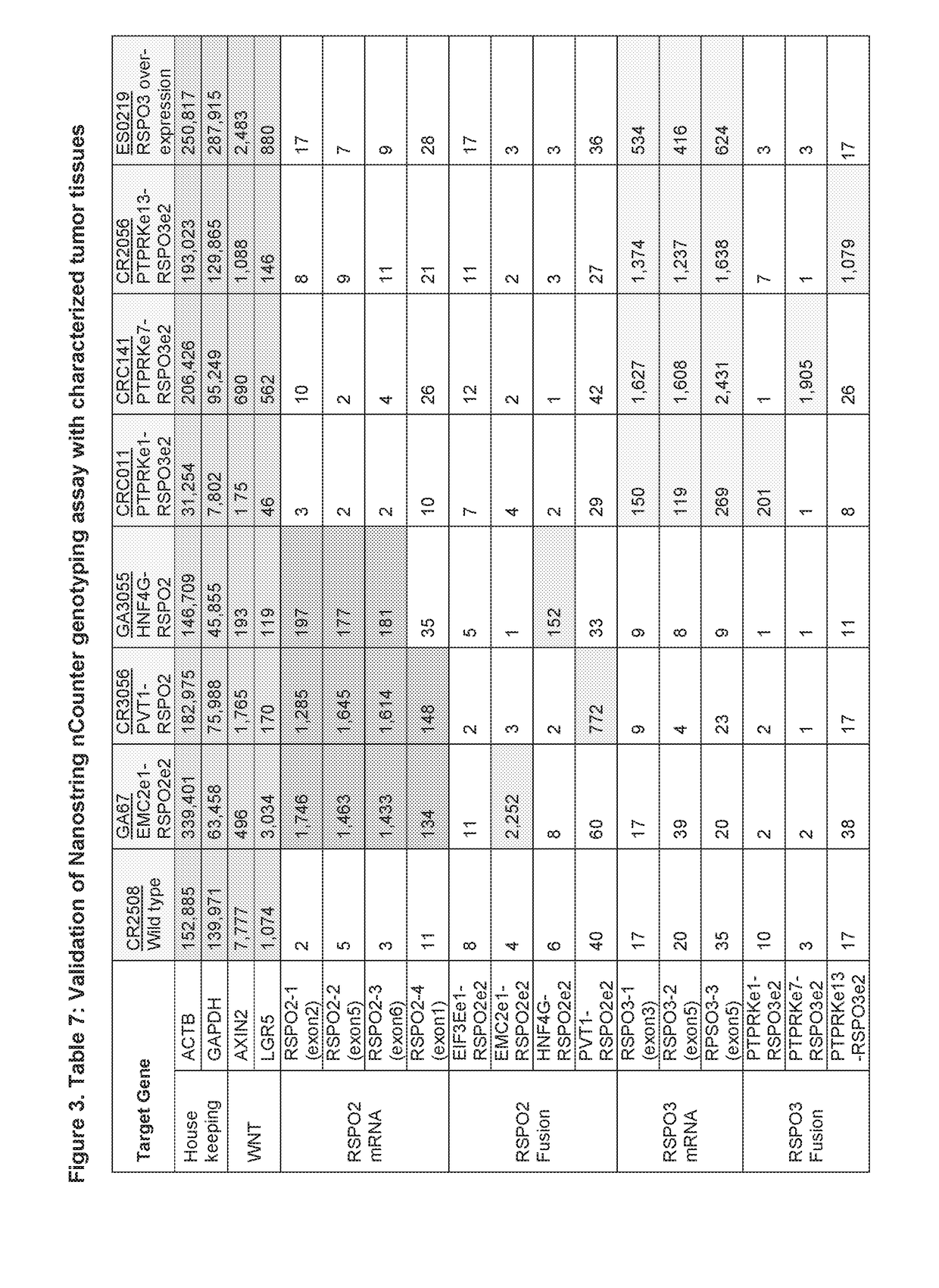 Tumor biomarkers and use thereof