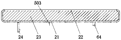 Geographic position display device for traveling