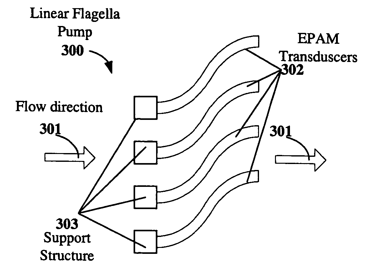 Electroactive polymer devices for moving fluid