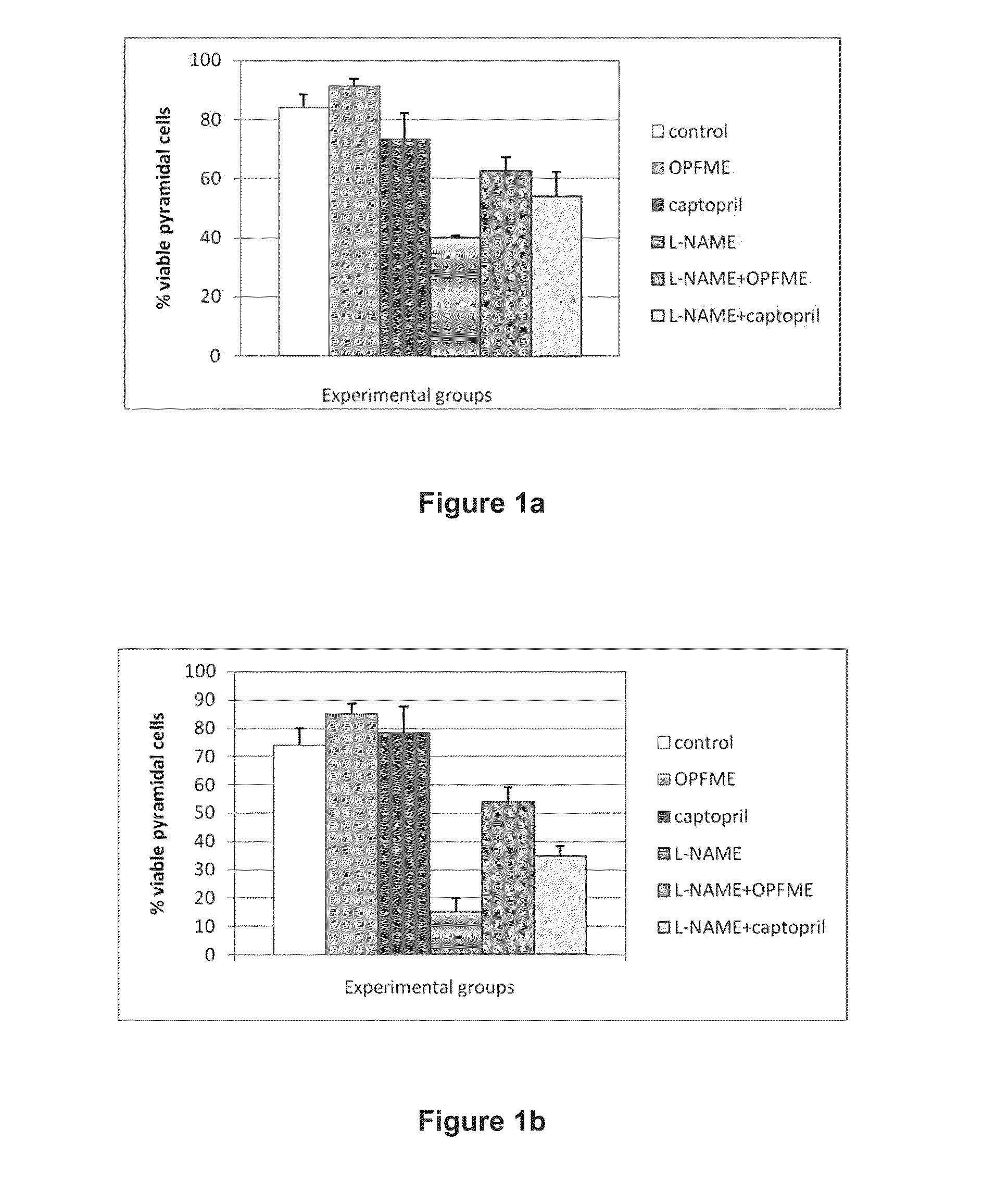 Use of a Neuroprotective Extract and Pharmaceutical Preparation Thereof