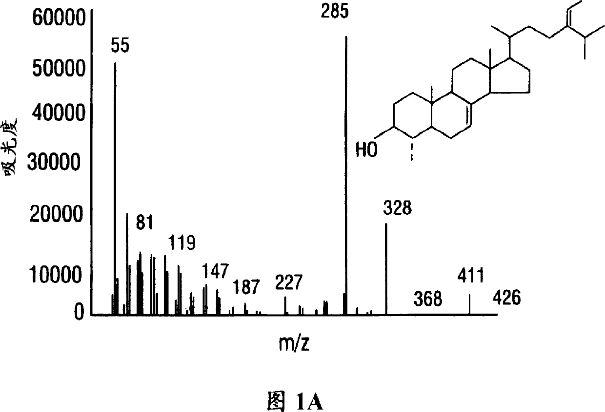 Transgenic plants with modified sterol biosynthetic pathways