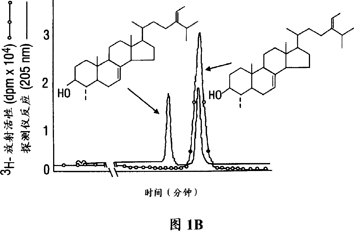 Transgenic plants with modified sterol biosynthetic pathways