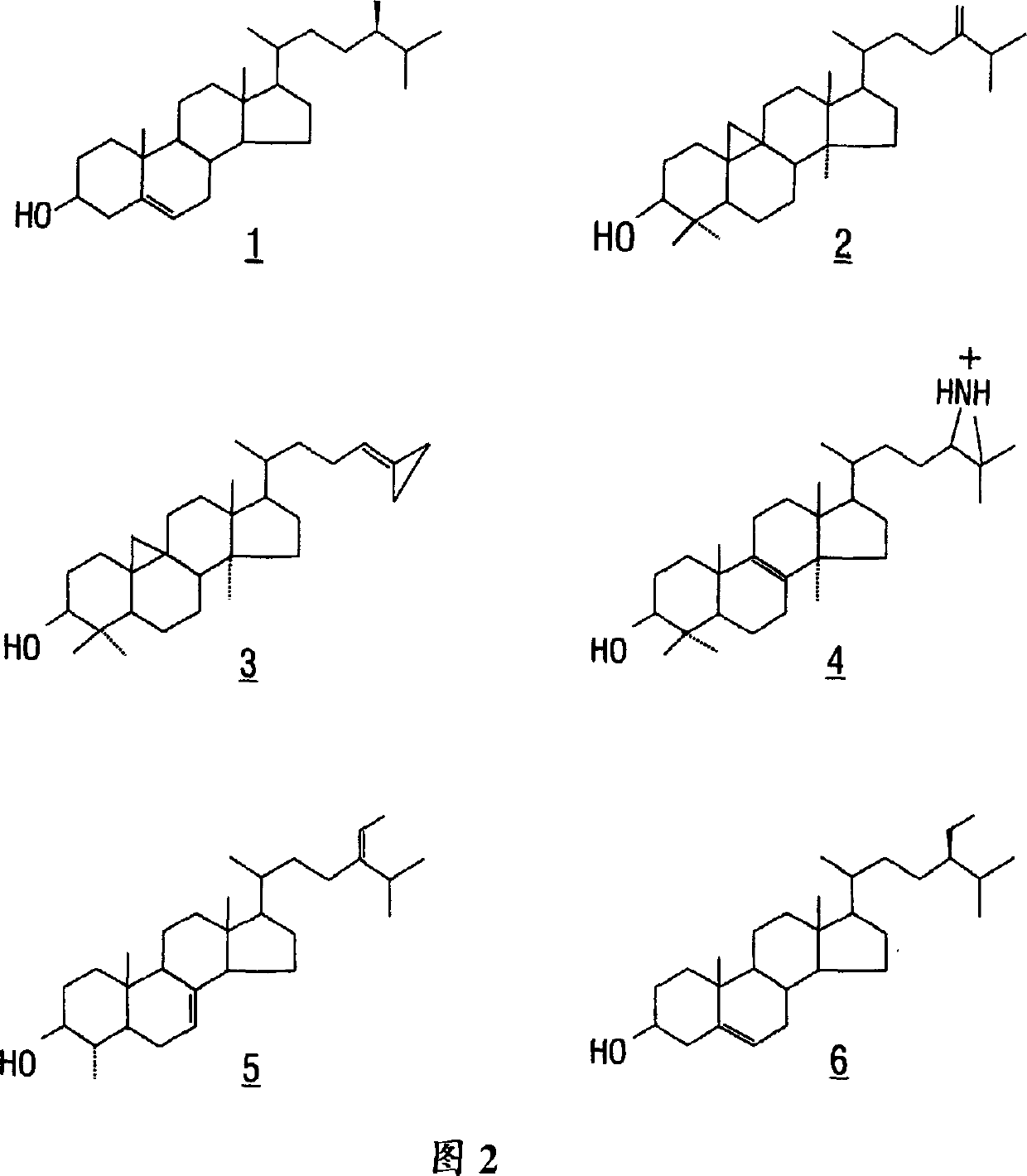 Transgenic plants with modified sterol biosynthetic pathways