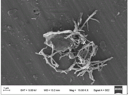 Preparation and application of metal organic framework compound-loaded nitrogen functionalized carbon material