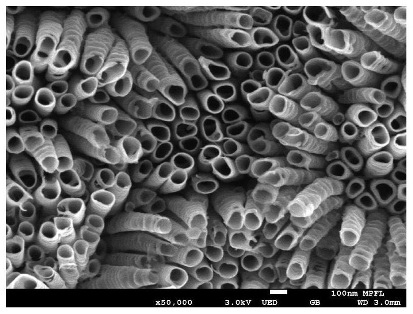 Pretreatment method of titanium substrate for electrode