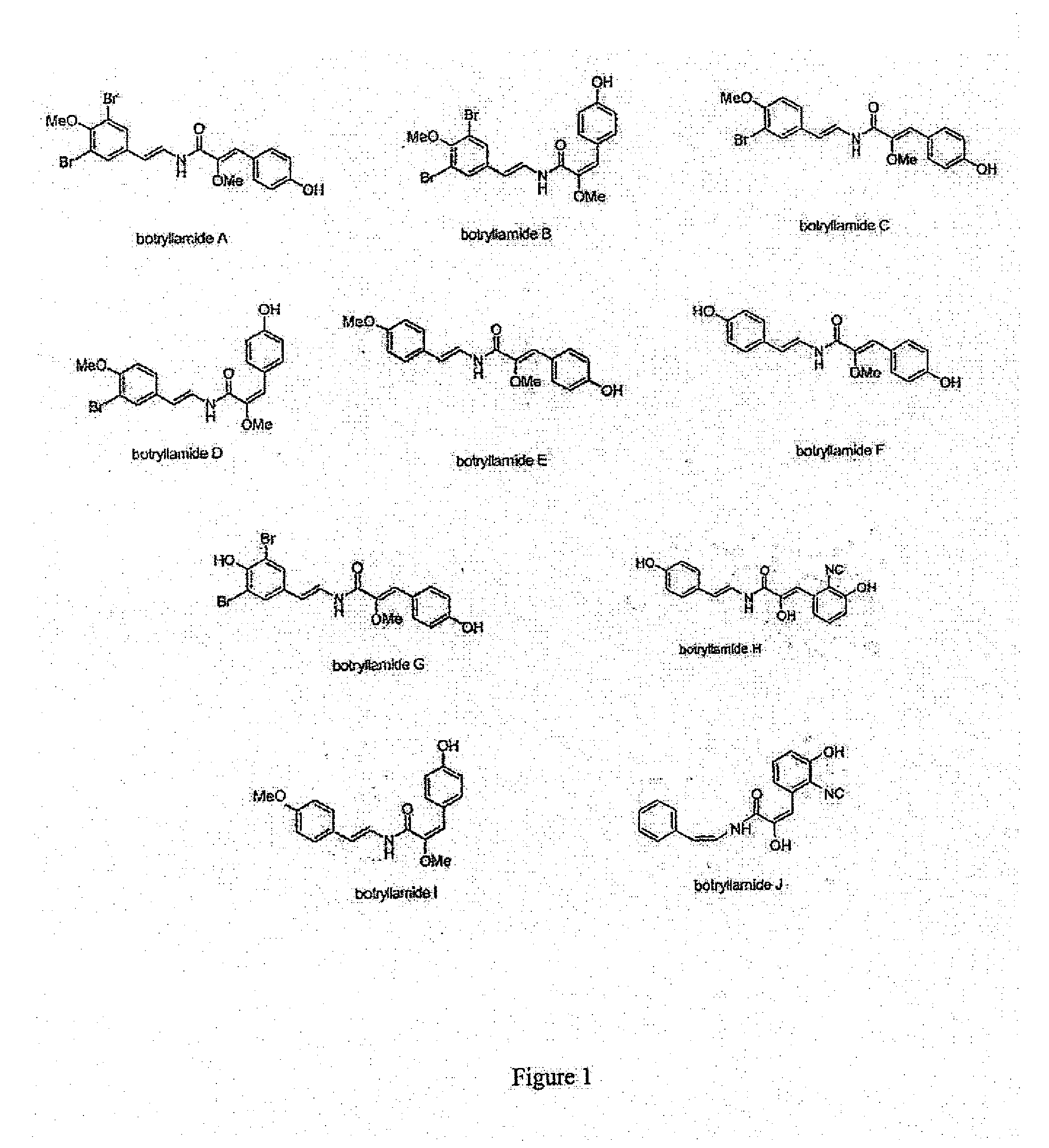 Method of inhibiting abcg2 and other treatment methods