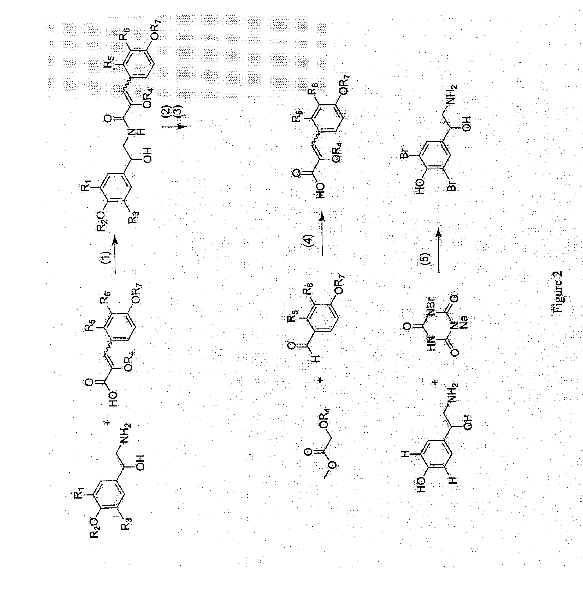 Method of inhibiting abcg2 and other treatment methods