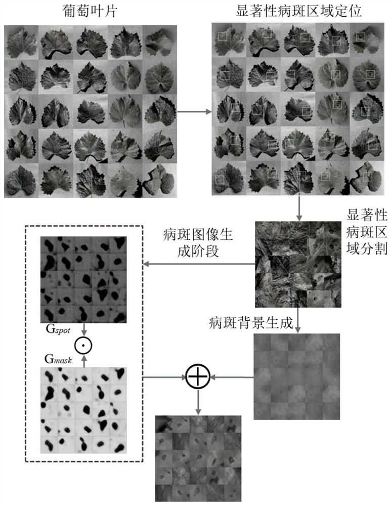 Grape leaf scab identification method based on fine-grained generative adversarial network