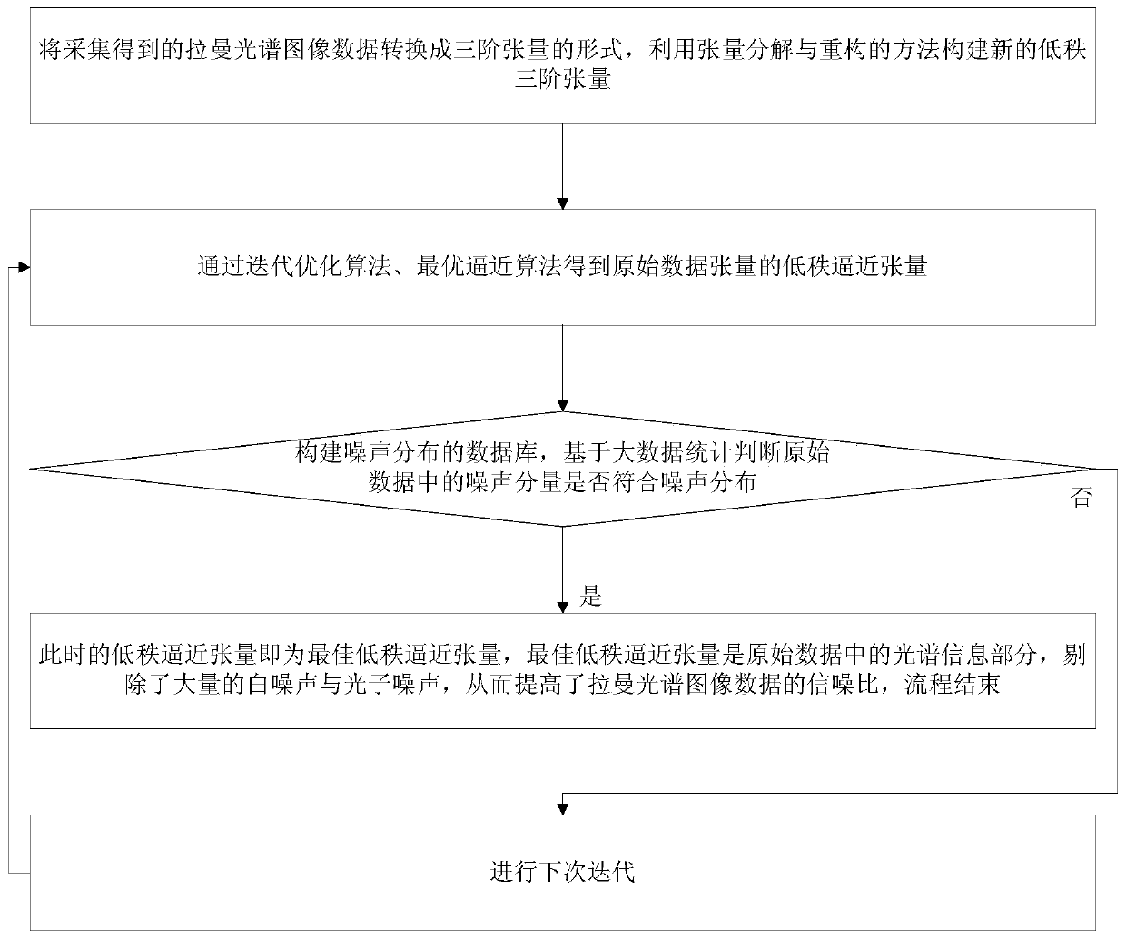 A Raman spectral image data preprocessing method based on low-rank tensor algorithm