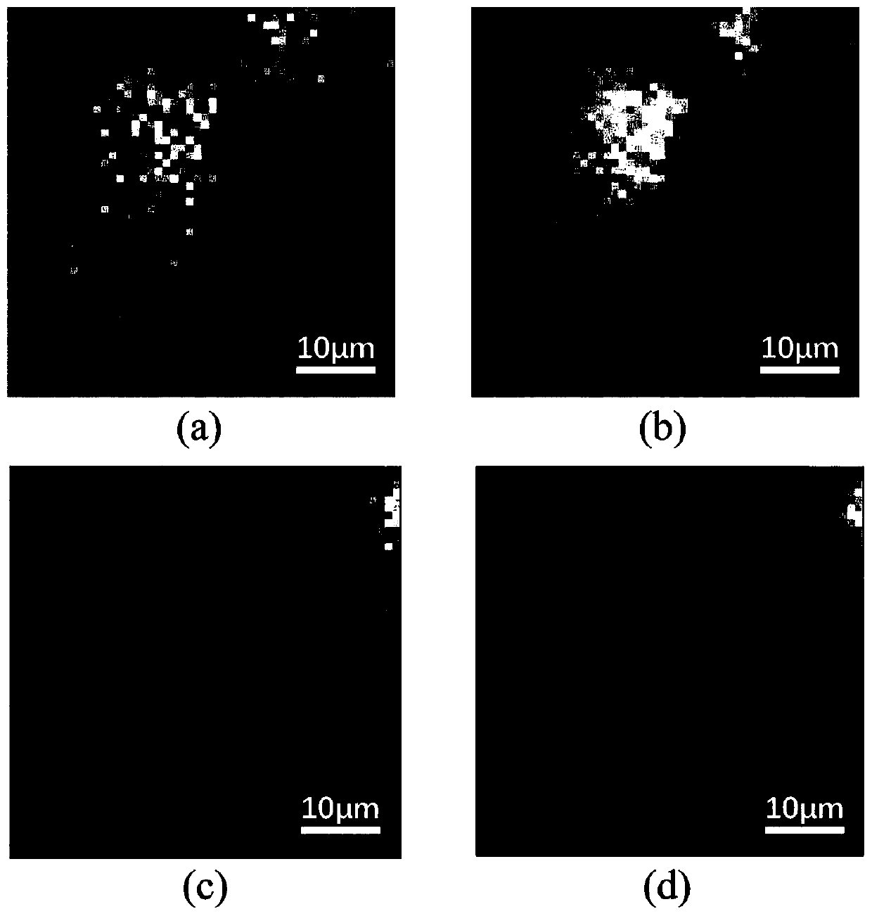 A Raman spectral image data preprocessing method based on low-rank tensor algorithm