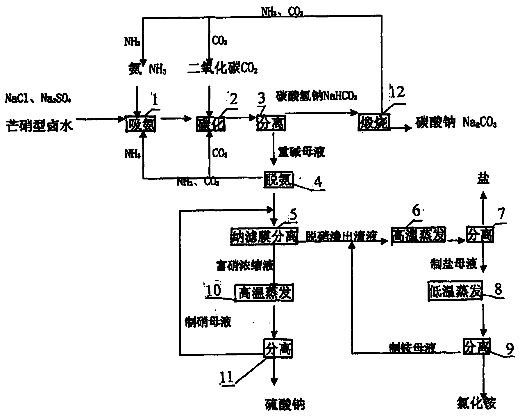 Process for producing mirabilite type bittern, sodium carbonate, sodium chloride, sodium sulfate and ammonium chloride