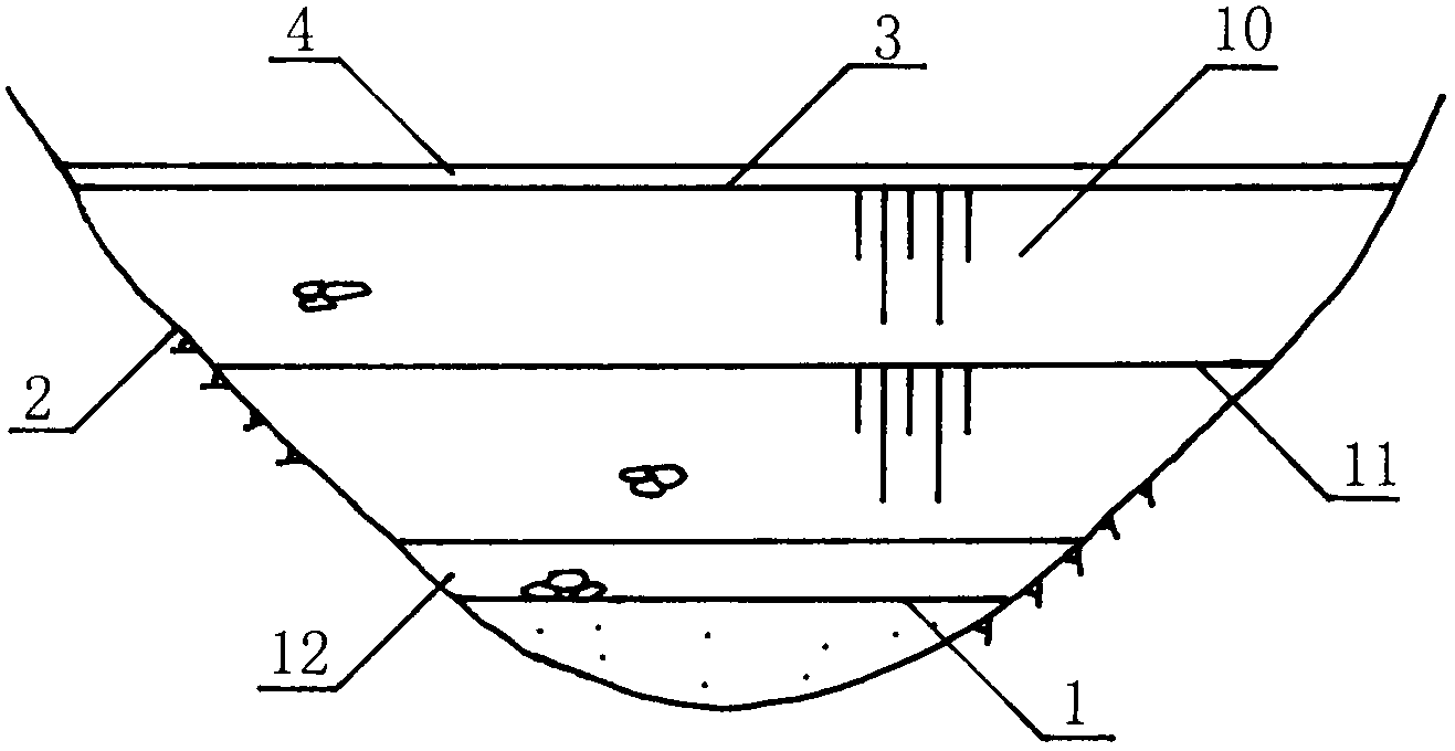 Composite panel earth and rockfill dam and anti-seepage body construction method