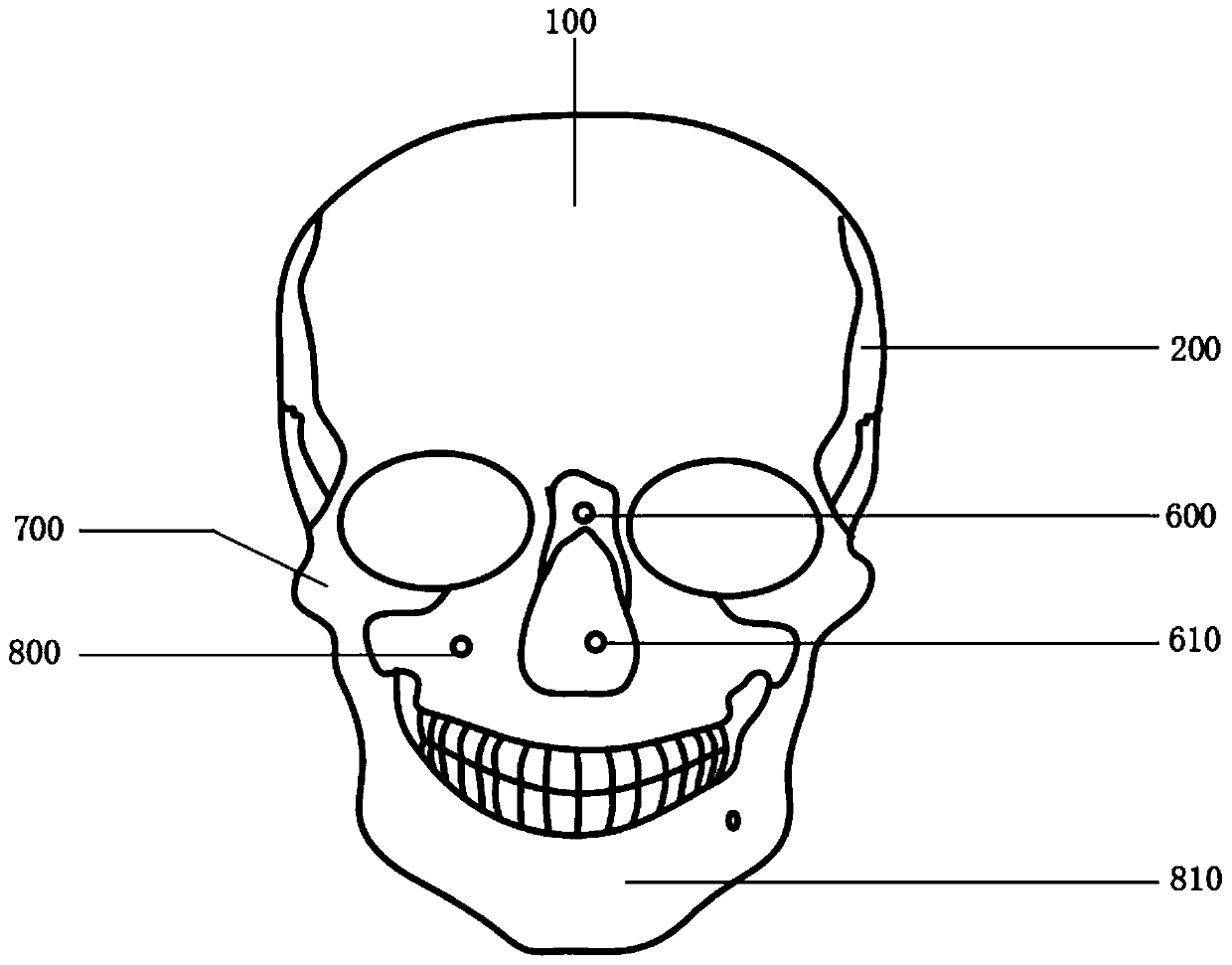 Body structure mold for teaching