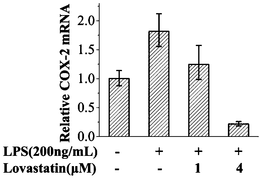 Application of lovastatin to preparing microglial cell activation inhibitors