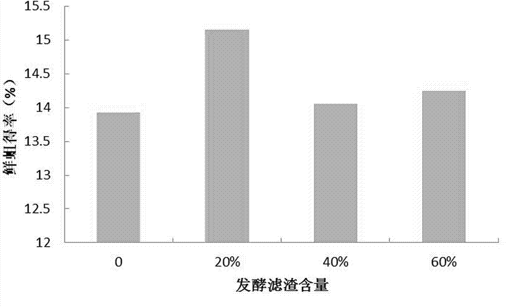 Method for treating fermentation filter residue and livestock and poultry manure mixture on large scale through fly maggots