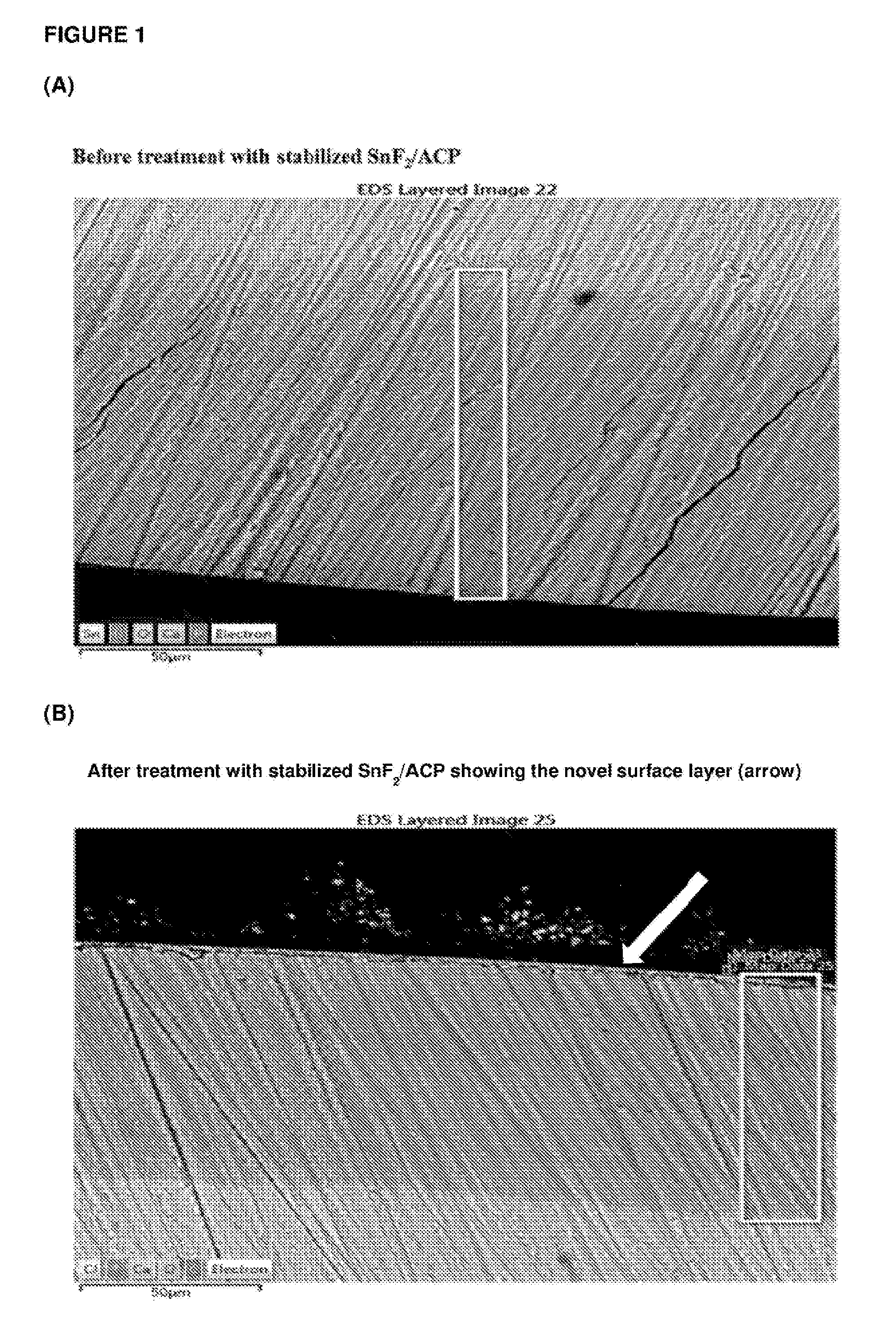 Stabilized stannous compositions