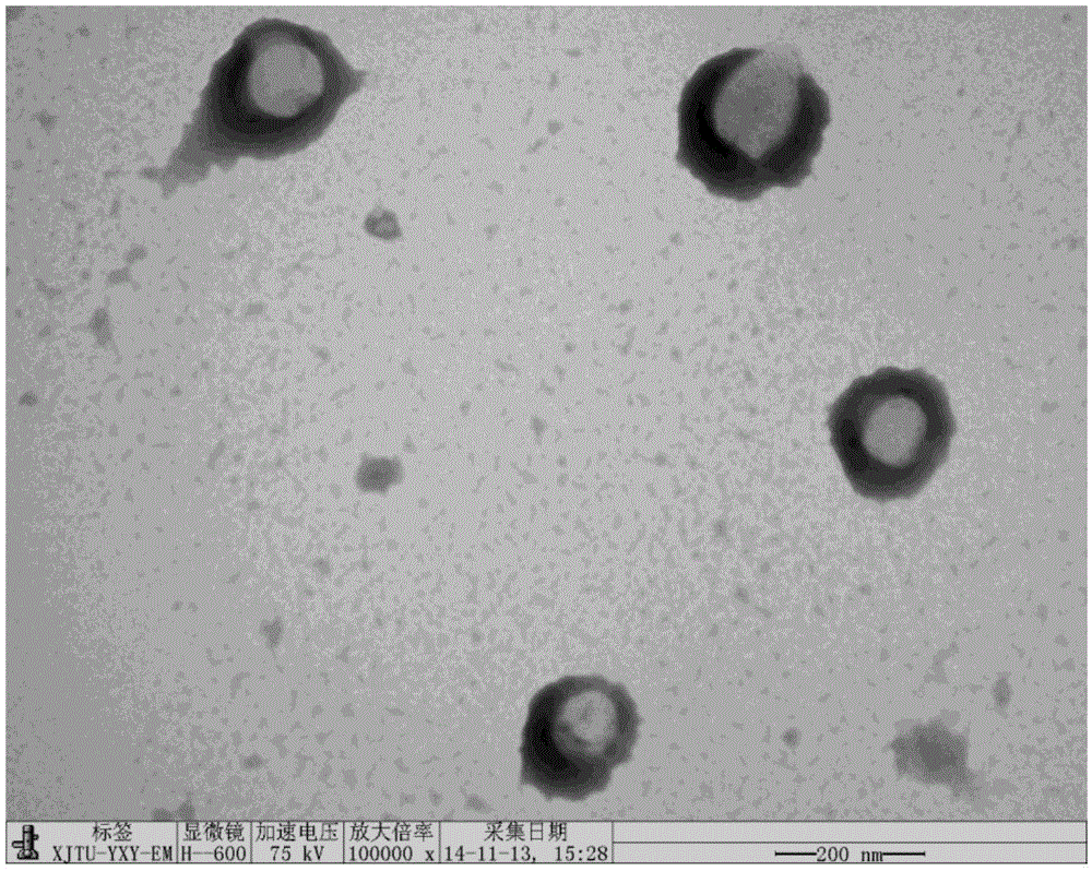 Preparation method of cationic type fluorine-containing soap-free emulsion