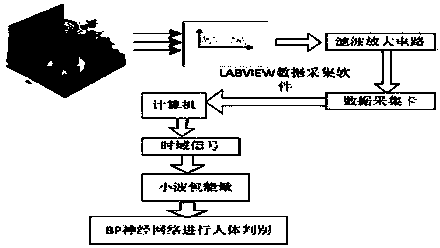 Method for extracting and differentiating human body heat source features of infrared pyroelectricity wavelet packet energy