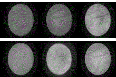 Multispectral palm-print fine-texture extraction and identification method and acquisition platform thereof