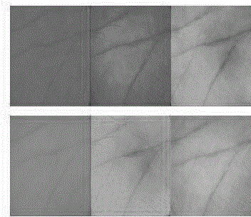 Multispectral palm-print fine-texture extraction and identification method and acquisition platform thereof