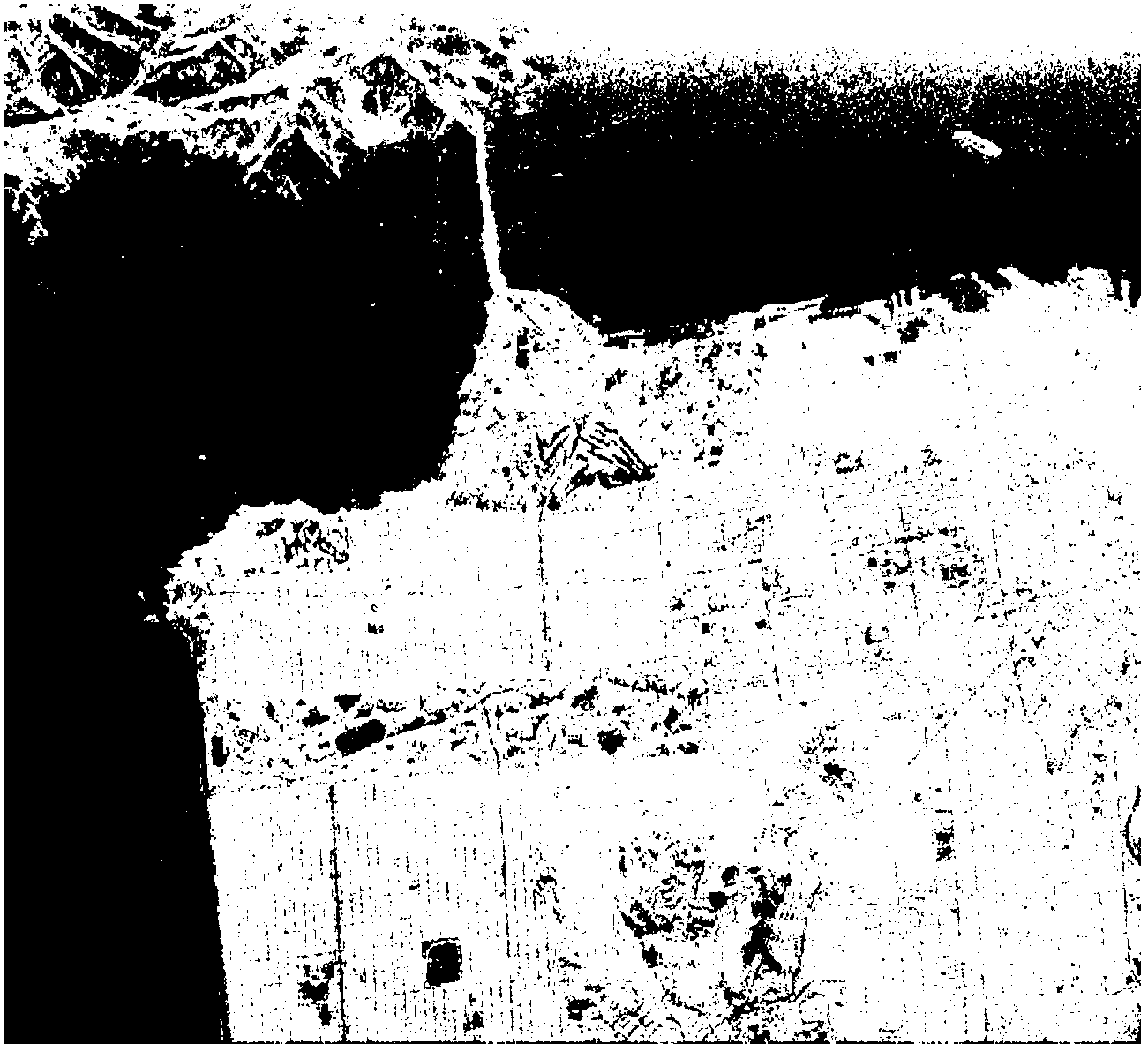 Method for classifying polarimetric SAR (synthetic aperture radar) images on the basis of Freeman decomposition and spectral clustering