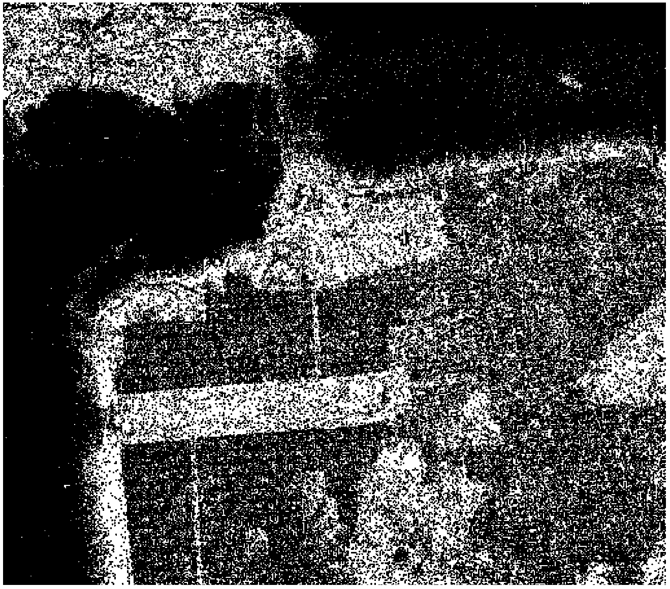 Method for classifying polarimetric SAR (synthetic aperture radar) images on the basis of Freeman decomposition and spectral clustering