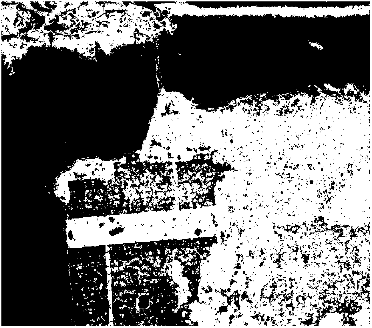 Method for classifying polarimetric SAR (synthetic aperture radar) images on the basis of Freeman decomposition and spectral clustering