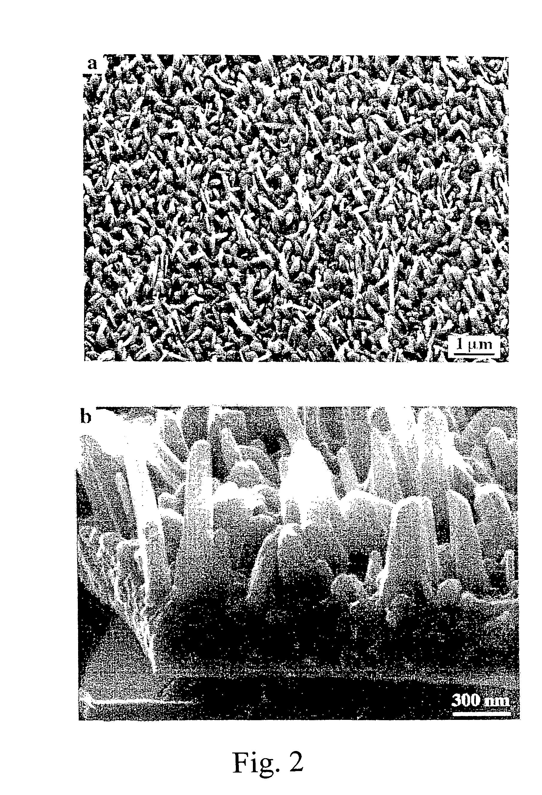 Protected alloy surfaces in microchannel apparatus and catalysts, alumina supported catalysts, catalyst intermediates, and methods of forming catalysts and microchannel apparatus