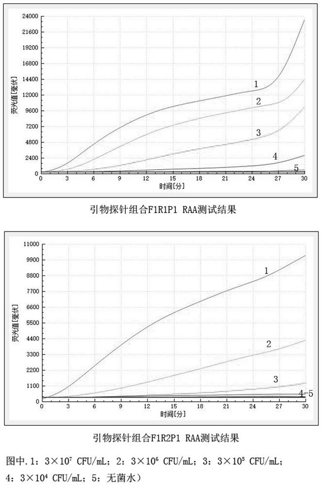 Primer probe combination, kit and method for detecting cronobacter based on RAA technology