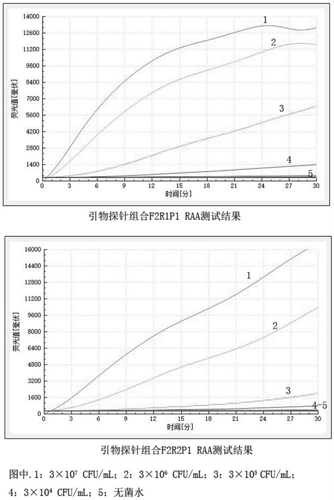 Primer probe combination, kit and method for detecting cronobacter based on RAA technology