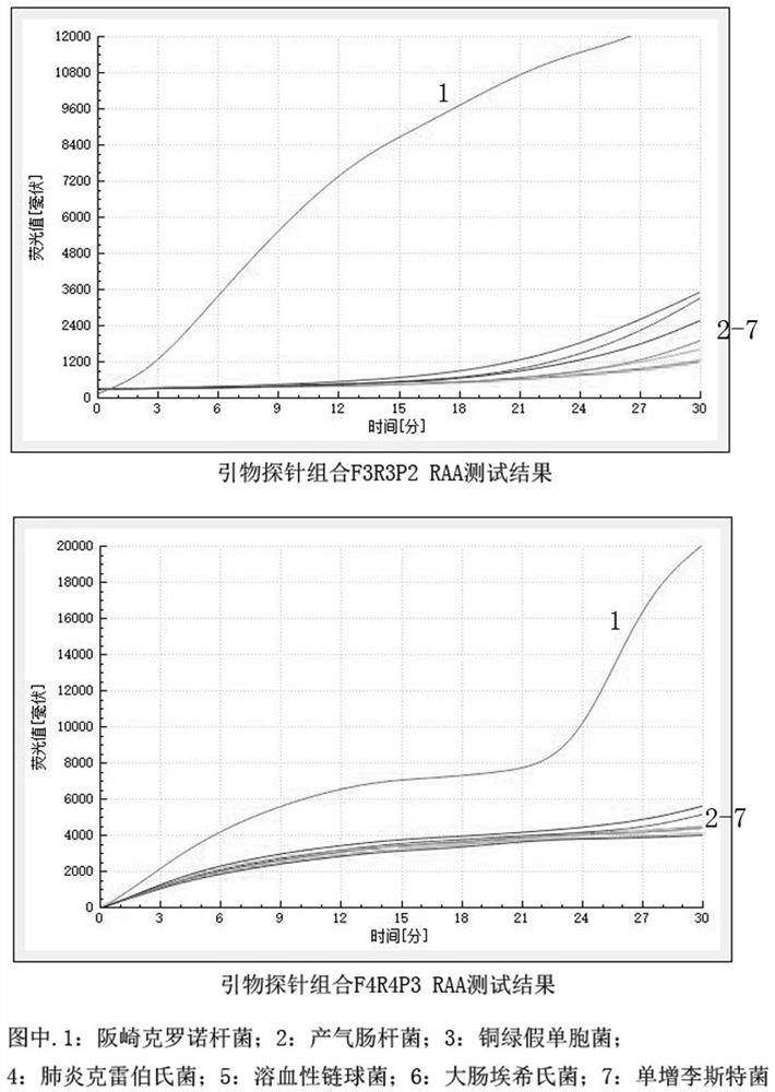 Primer probe combination, kit and method for detecting cronobacter based on RAA technology