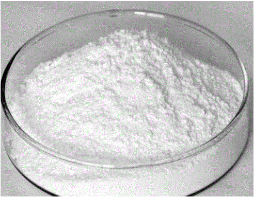 Preparation method of sea urchin shaped microspheric lanthanum oxycarbonate adsorbent capable of removing phosphorus from water bodies