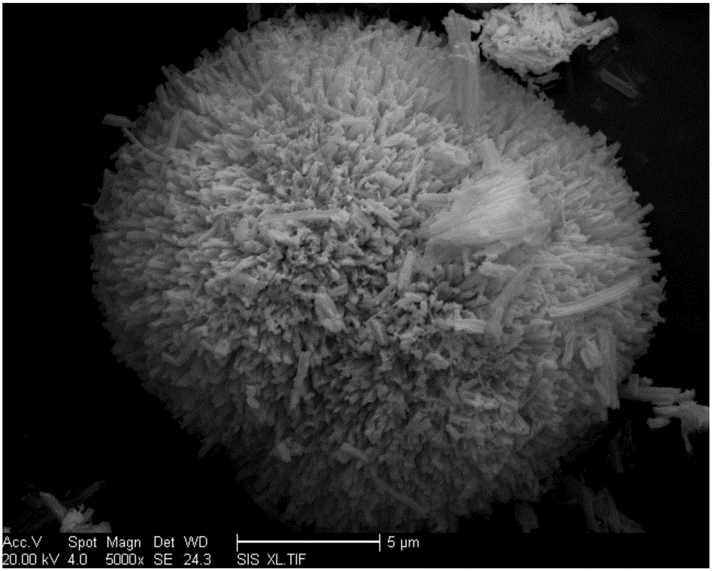 Preparation method of sea urchin shaped microspheric lanthanum oxycarbonate adsorbent capable of removing phosphorus from water bodies