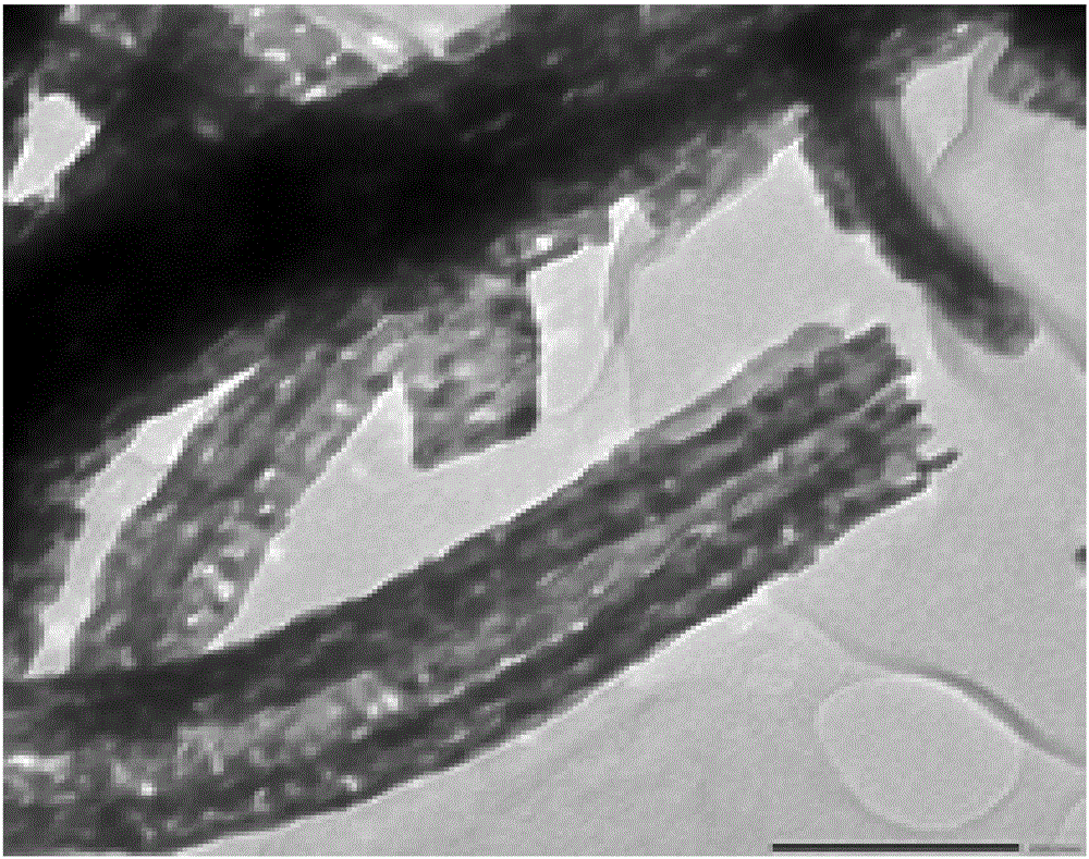 Preparation method of sea urchin shaped microspheric lanthanum oxycarbonate adsorbent capable of removing phosphorus from water bodies